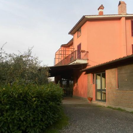 Il Contado B&B Castel Sant'Elia Экстерьер фото