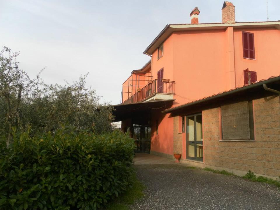 Il Contado B&B Castel Sant'Elia Экстерьер фото